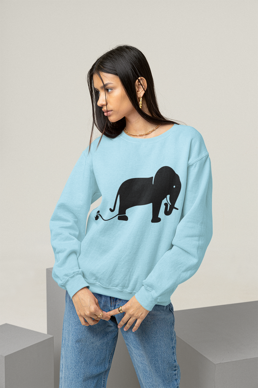 2.2 Women's Crewneck Pullovers - Powder Blue